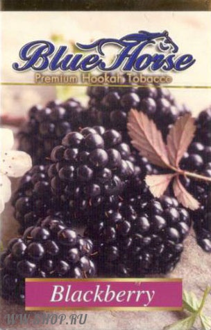 blue horse- ежевика (blackberry) Пермь