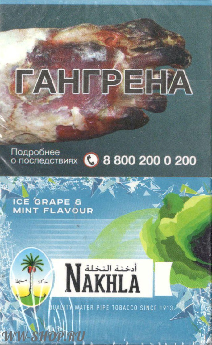 nakhla - лед виноград мята (ice grape mint) Пермь